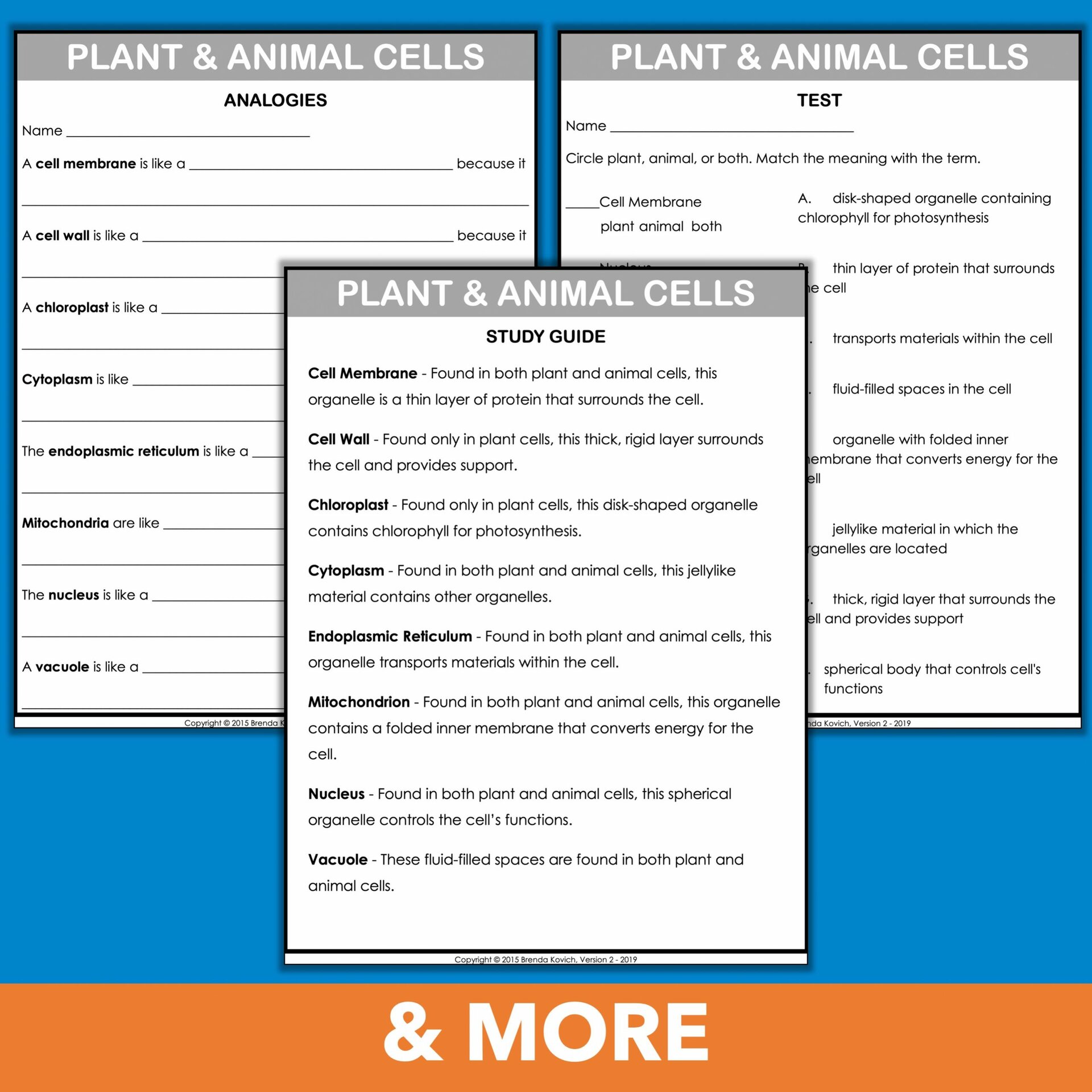 Teaching Cells - Simple Plant and Animal Organelles for Kids - Enjoy ...