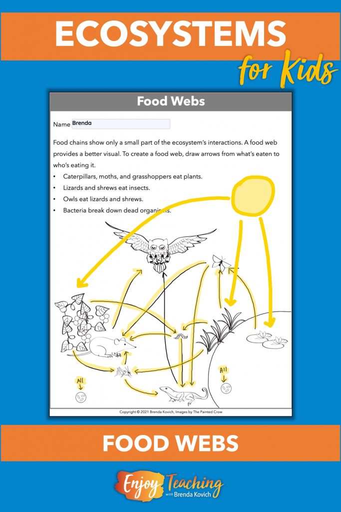 Kids explore food webs found in ecosystems.