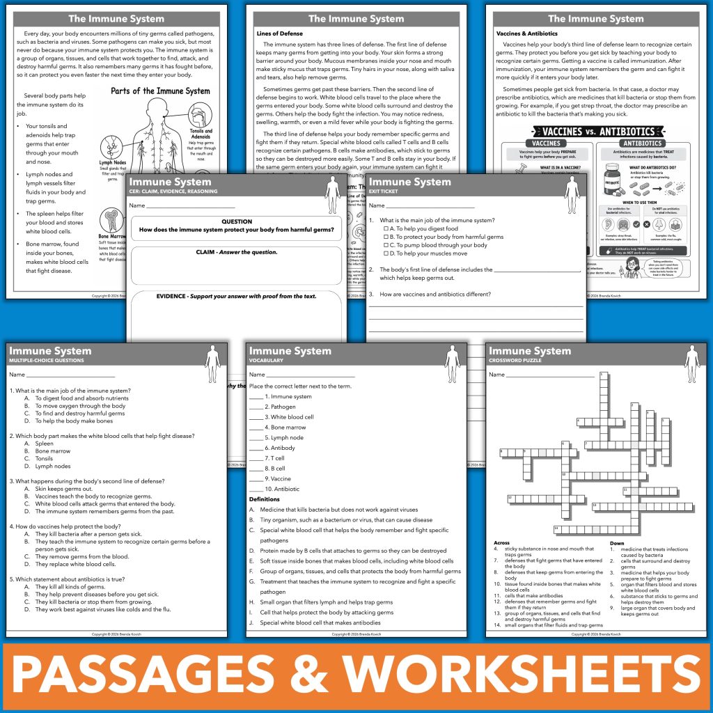 The human body systems bundle includes a two- or three-page reading passage, multiple-choice questions, CER chart, open-ended response, vocabulary worksheet, crossword puzzle, and exit ticket for each system.