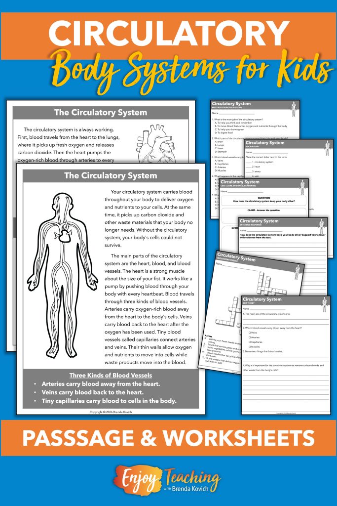 The circulatory system resource includes a two-page reading passage, multiple-choice questions, CER chart, open-ended response, vocabulary worksheet, crossword puzzle, and exit ticket.