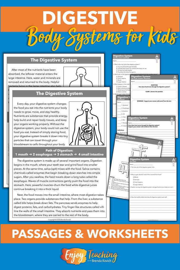 The digestive system resource includes a two-page reading passage, multiple-choice questions, CER chart, open-ended response, vocabulary worksheet, crossword puzzle, and exit ticket.