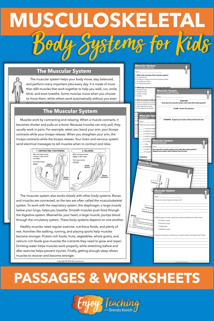 The body systems bundle includes reading passages and worksheets for both the skeletal and muscular system. Worksheets include multiple-choice questions, CER chart, open-ended response, vocabulary, crossword, and exit ticket.