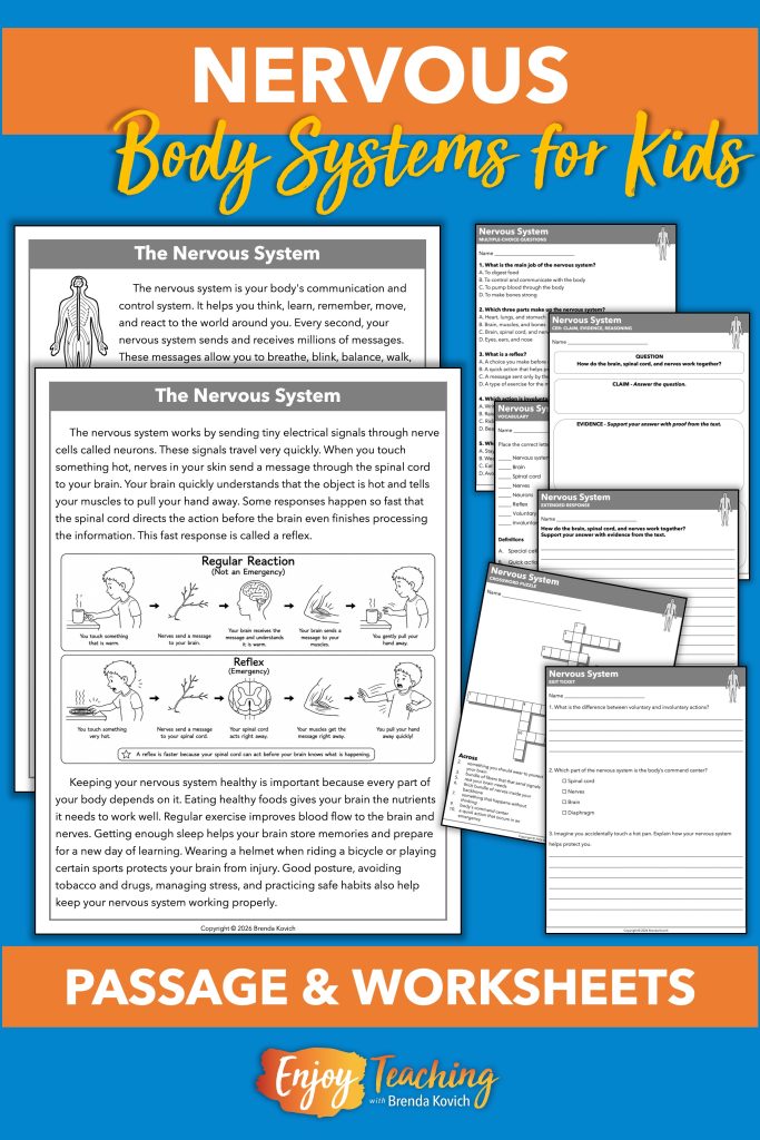 The body systems bundle includes nervous system passages and worksheets (multiple-choice questions, CER chart, open-ended response, vocabulary, crossword puzzle, and exit ticket).