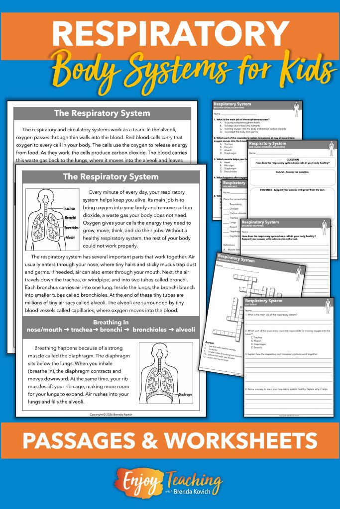 This respiratory system set includes differentiated reading passages and worksheets (multiple-choice questions, CER chart, open-ended response, vocabulary, crossword puzzle, and exit ticket.