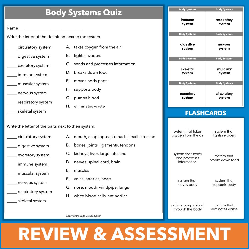 The human body systems unit includes flashcards and a test.