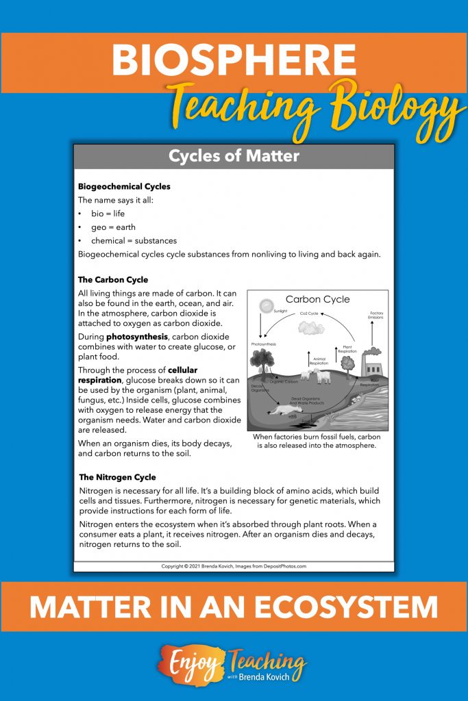 Prepare biosphere teaching ideas with important cycles. Biogeochemical cycles move substances from nonliving to living and back again. The carbon cycle and nitrogen cycle also move matter through an ecosystem.