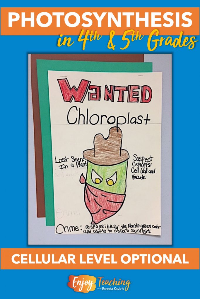 In fourth and fifth grades, kids can study photosynthesis without knowledge of cells and organelles. However, introducing them at these grade levels is fun.