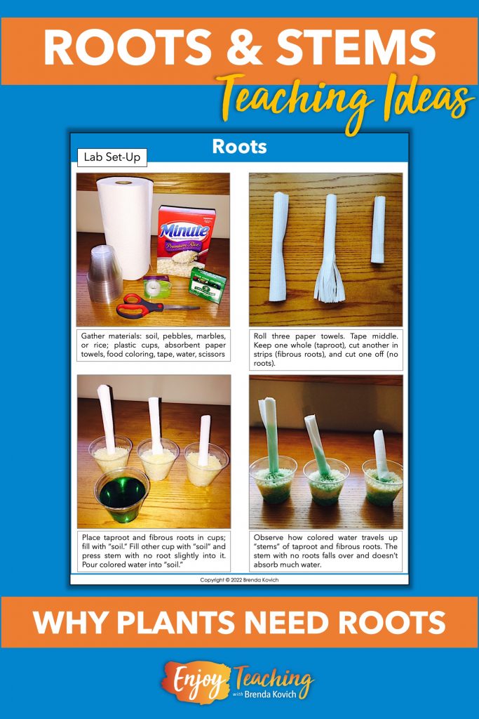 When teaching roots and stems, try this lab.