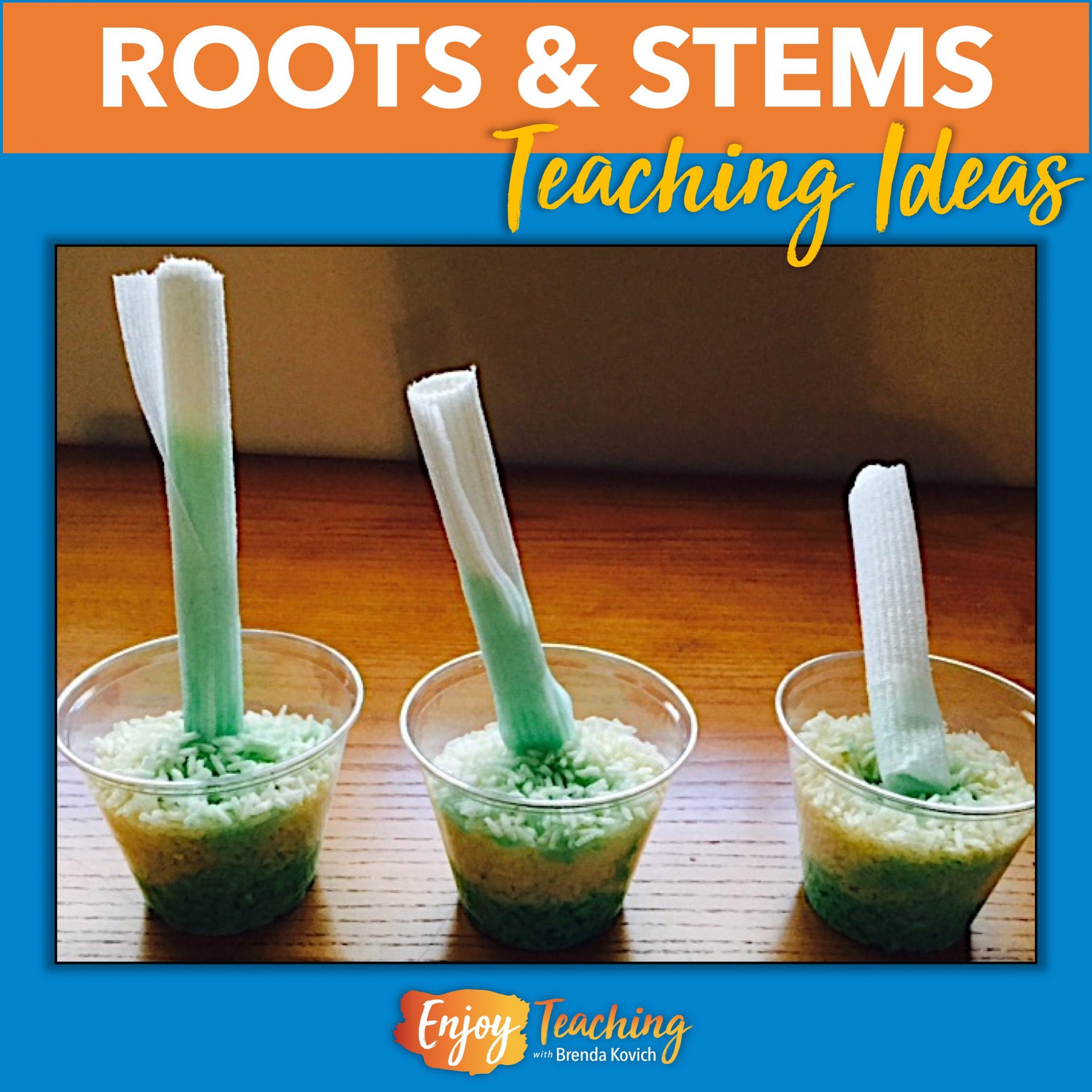 roots-and-stems-ideas-that-will-make-your-teaching-shine