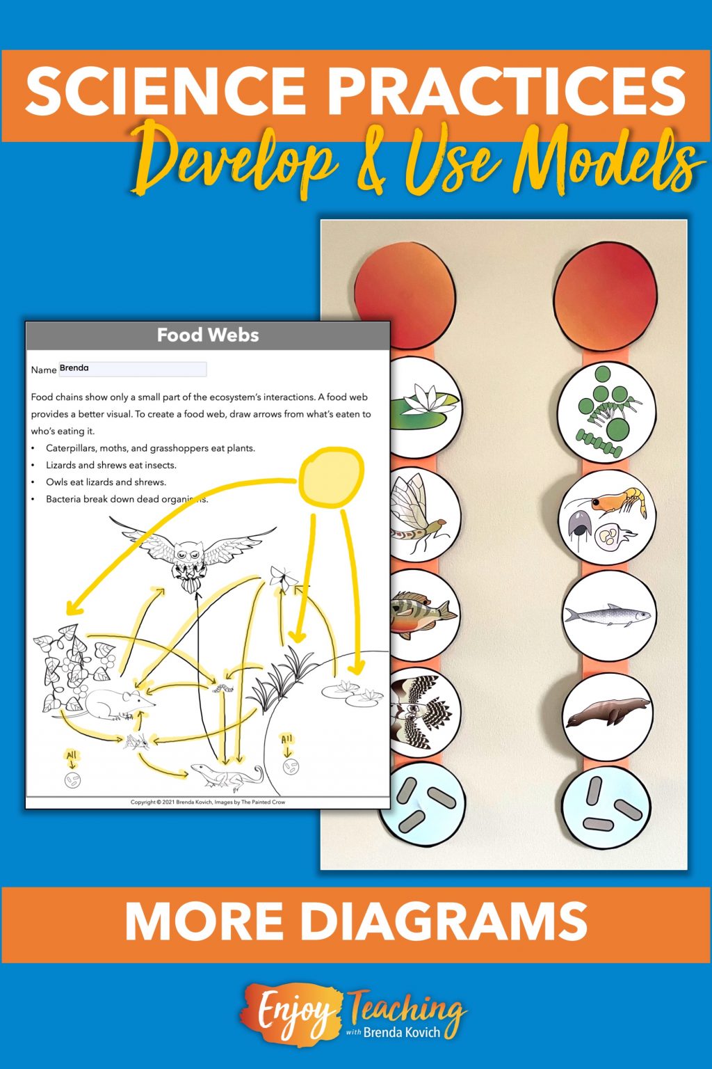 how-to-use-models-in-science-examples-you-ll-actually-use