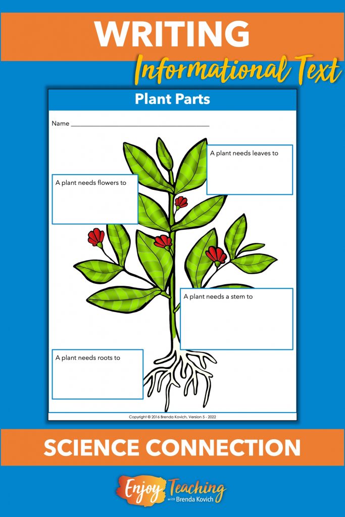 Any paragraphs that require kids to explain parts of a whole make great writing projects for the descriptive text structure. For example, in this activity, kids explain how parts of a plant work together for its survival.