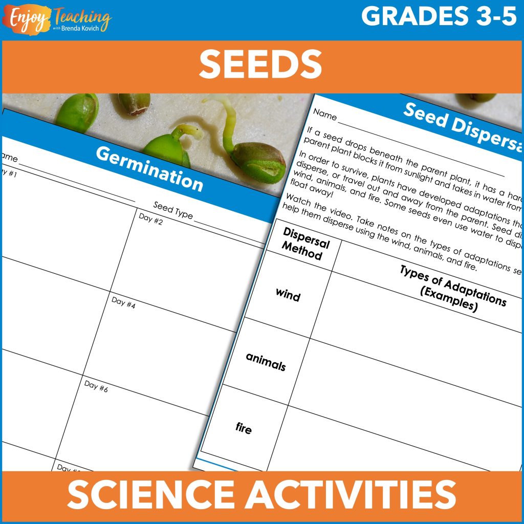 Kids explore seed dispersal and germination through videos, text, and experiments.