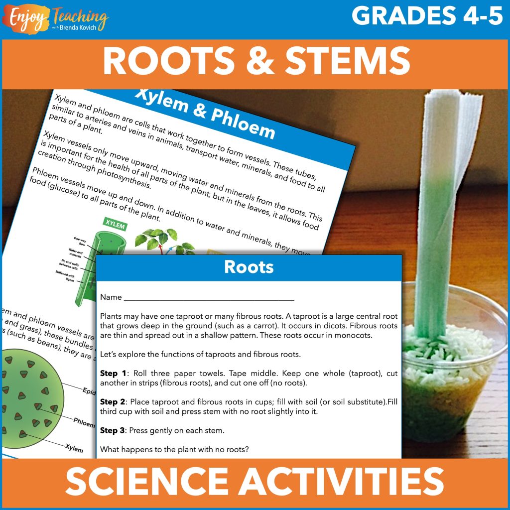 A variety of hands-on activities and reading passages help kids understand structures and functions found in roots and stems.