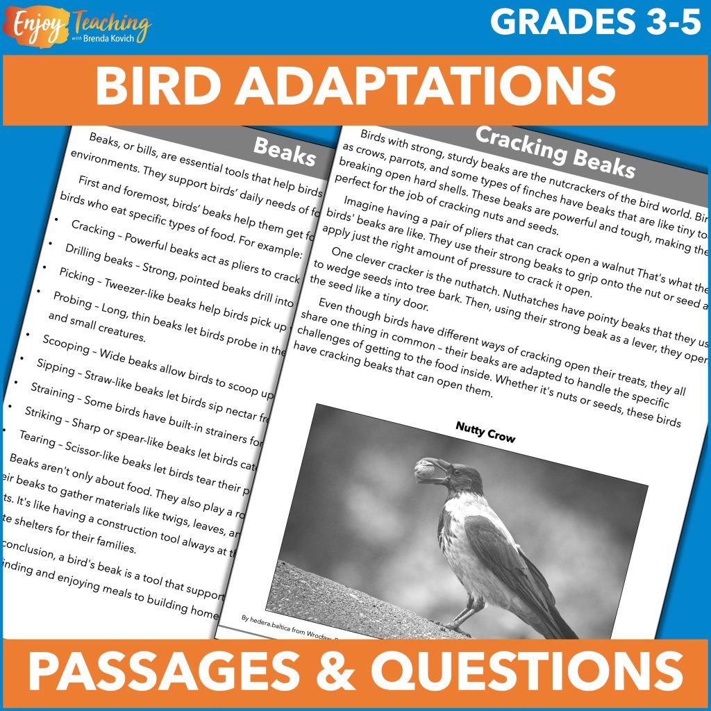 More than 30 reading passages explain specific bird adaptations, such as cracking beaks. While you can use the passages however you wish, a jigsaw cooperative learning project is suggested.