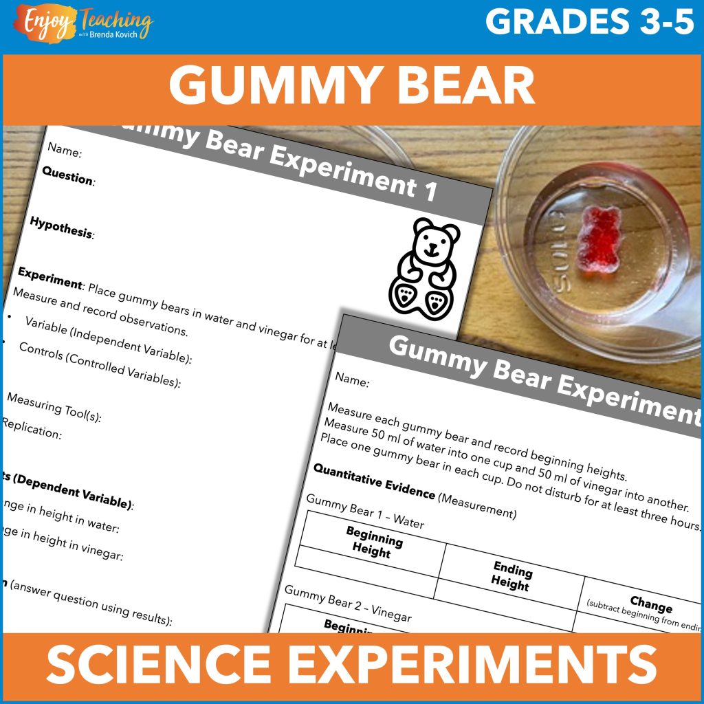 Add some experiments to your science curriculum. Through these gummy bear activities, kids learn about testable questions, participate in a guided lab, and then design an experiment of their own. 