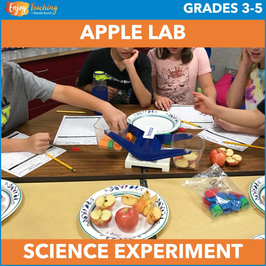To complete your fourth grade science curriculum activities, try this apple lab. Every day for a week, kids measure three apples (whole, halved, and sliced). They use steps and vocabulary from the traditional scientific method.